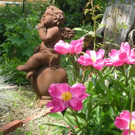 Penzion Arkadenhof 3*