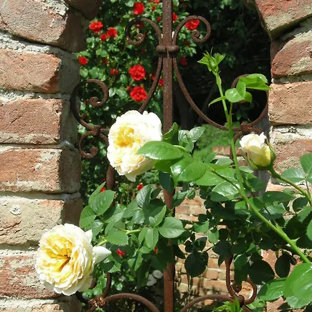 Arkadenhof Unterpremstätten