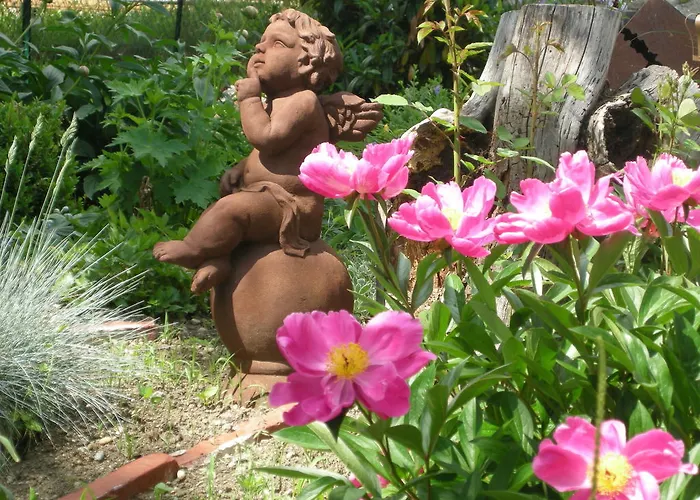 Vendégház Arkadenhof 3*