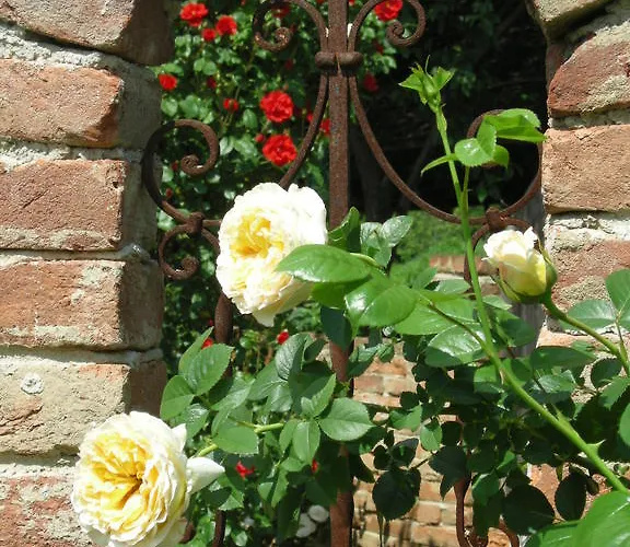 Arkadenhof Unterpremstätten